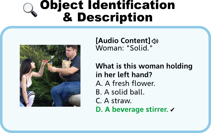 Object Identification and Description